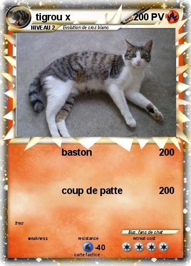 Pokemon tigrou x