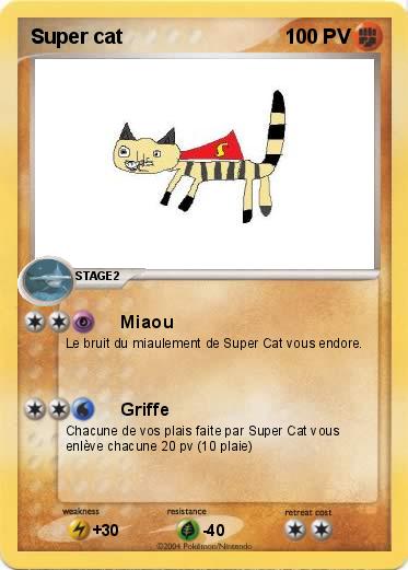 Pokemon Super cat