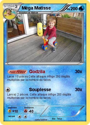 Pokemon Méga Matisse