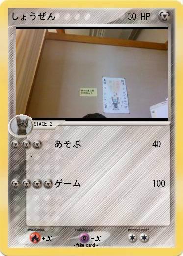 Pokemon しょうぜん