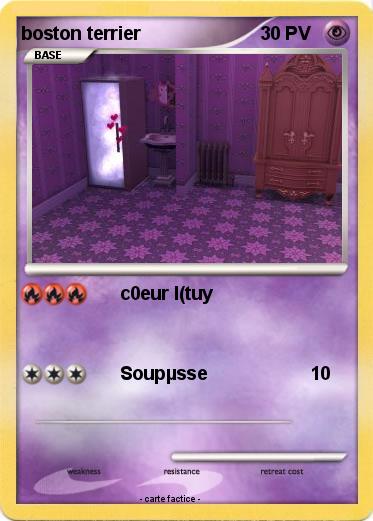 Pokemon boston terrier
