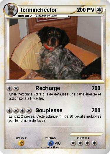 Pokemon terminehector