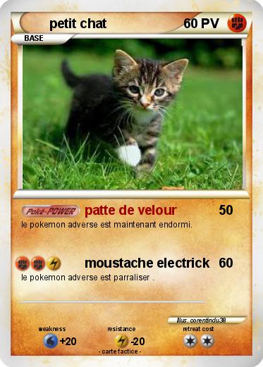 Pokemon petit chat