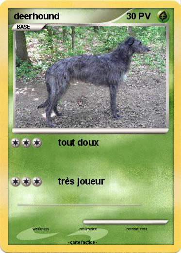 Pokemon deerhound