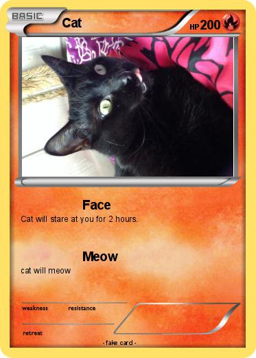 Pokemon Cat