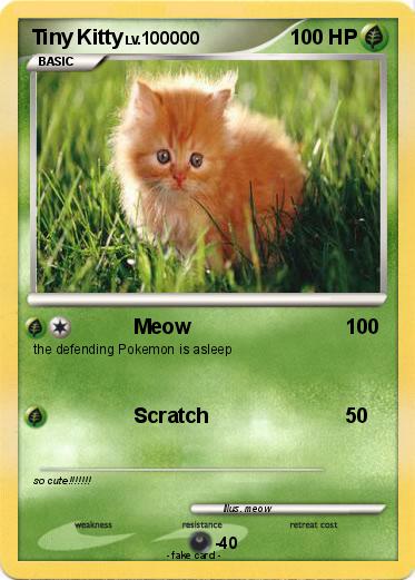 Pokemon Tiny Kitty