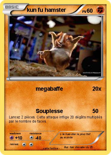 Pokemon kun fu hamster