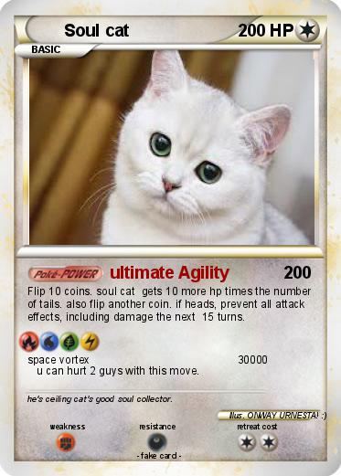 Pokemon Soul cat