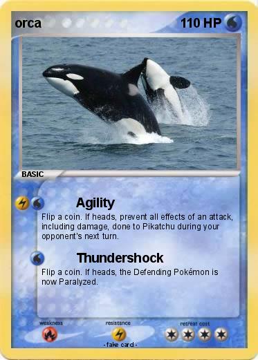 Pokemon orca