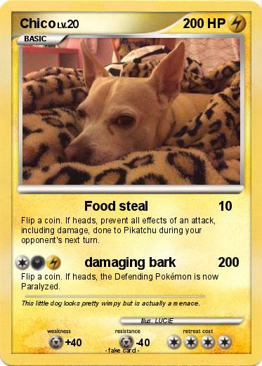 Pokemon Chico