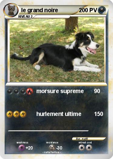 Pokemon le grand noire