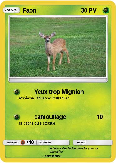 Pokemon Faon