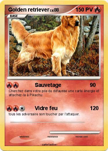 Pokemon Golden retriever
