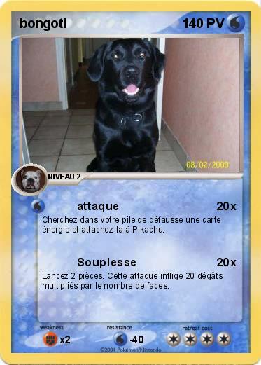 Pokemon bongoti