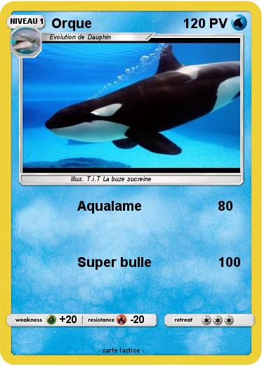 Pokemon Orque