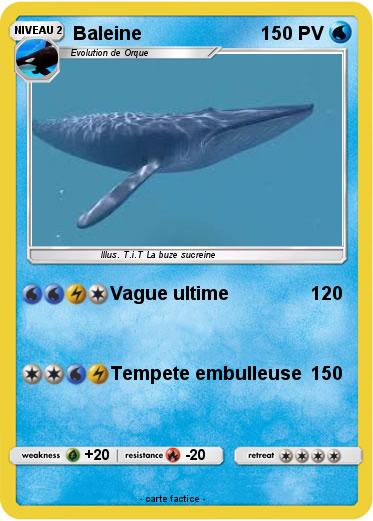 Pokemon Baleine