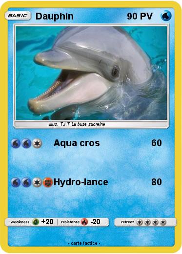 Pokemon Dauphin