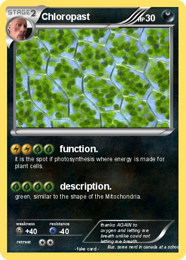 Pokemon Chloropast