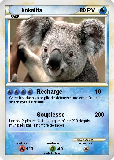 Pokemon kokalits