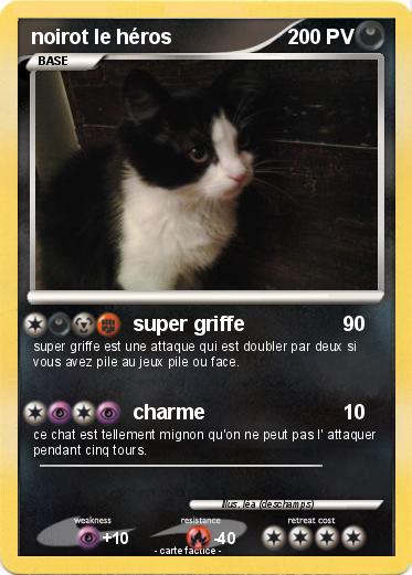 Pokemon noirot le héros