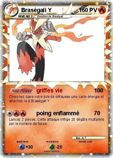 Pokemon Braségali Y