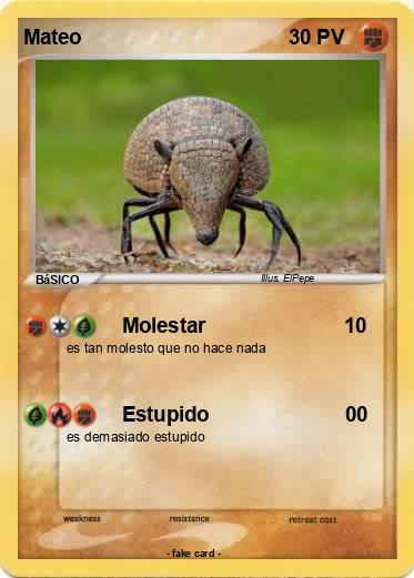 Pokemon Mateo
