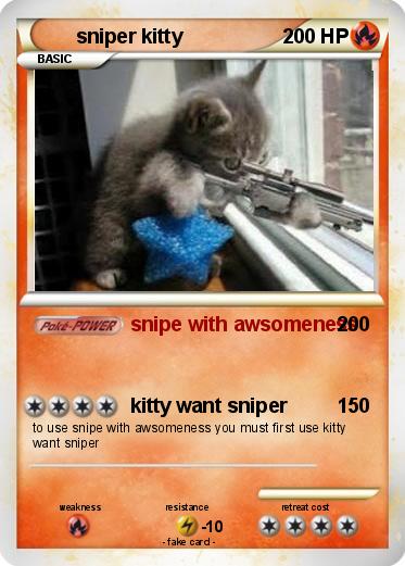 Pokemon sniper kitty