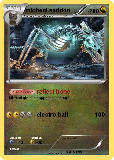 Pokemon micheal seddon