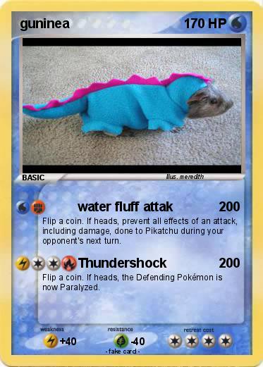 Pokemon guninea