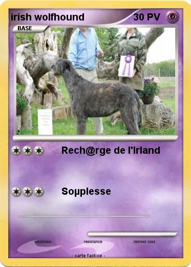 Pokemon irish wolfhound