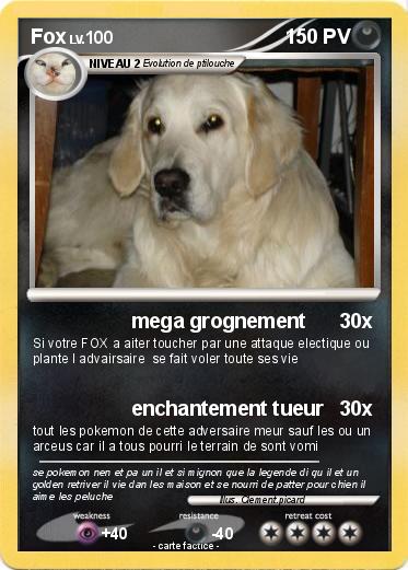 Pokemon Fox