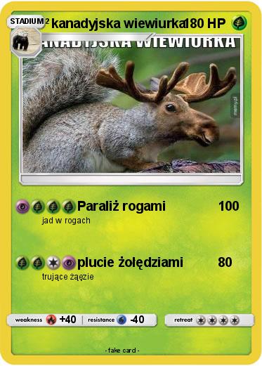 Pokemon kanadyjska wiewiurka