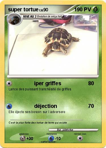 Pokemon super tortue