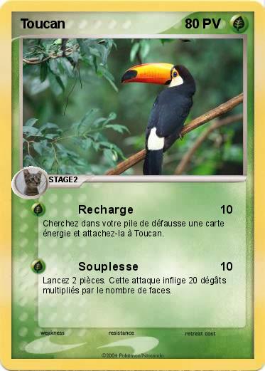 Pokemon Toucan