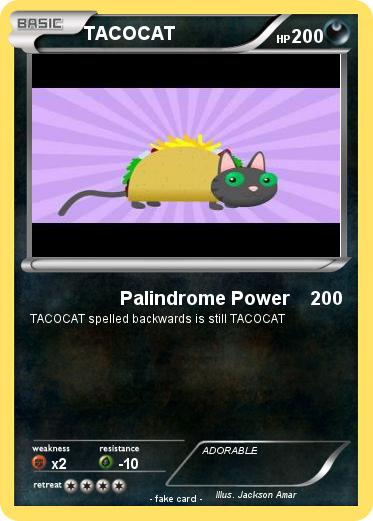 Pokemon TACOCAT