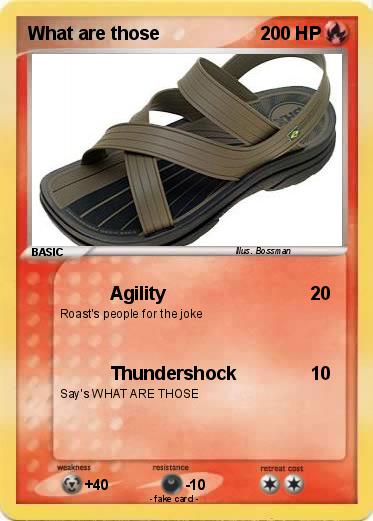 Pokemon What are those