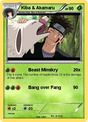 Pokemon Kiba & Akamaru