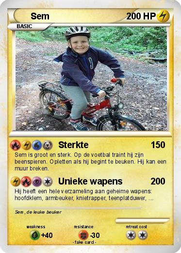 Pokemon Sem