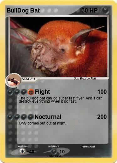 Pokemon BullDog Bat