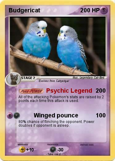 Pokemon Budgericat