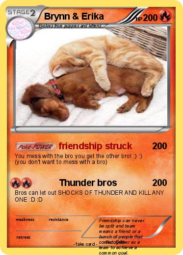Pokemon Brynn & Erika