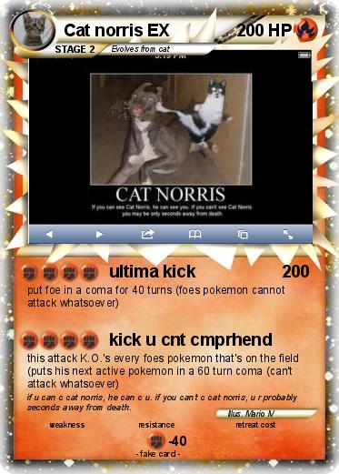 Pokemon Cat norris EX