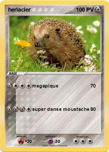 Pokemon heriacier