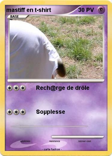 Pokemon mastiff en t-shirt