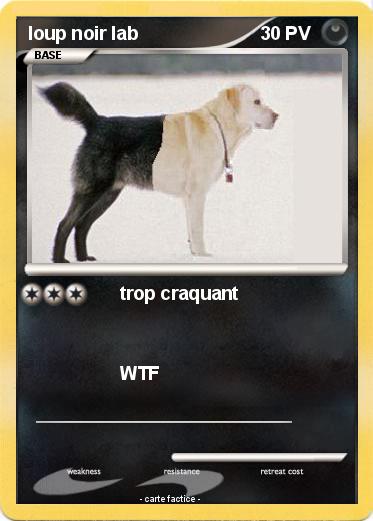 Pokemon loup noir lab