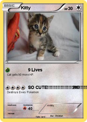 Pokemon Kitty