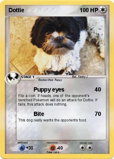 Pokemon Dottie