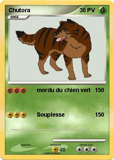 Pokemon Chutora