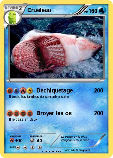 Pokemon Crueleau