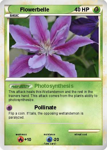 Pokemon Flowerbelle